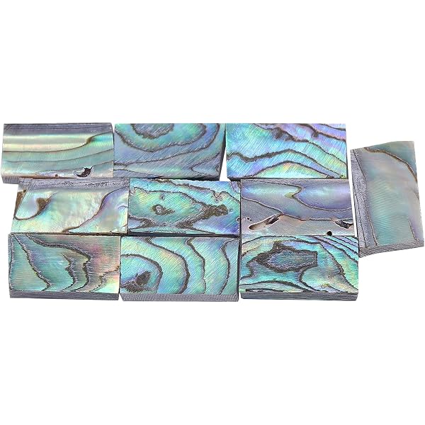 BENECREAT 90 Perline Cabochon In Conchiglia Abalone 8-10mm – Naturali Iridescenti Per Bigiotteria E Decorazione Fai Da Te - 3