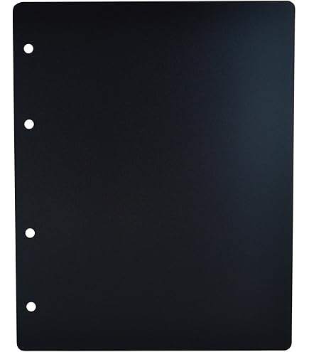 10 Feuilles Pour Album De Collection – 20 Pochettes Par Feuille – Pour Pièces Ou Médailles