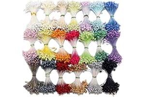 Weriirew 900pcs Aléatoire Mixte Double Têtes Fleur Étamine pour la Fabrication de Fleurs DIY Artificielle Mini Perle Fleur Étamine Pistil