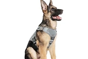 rabbitgoo Arnes Táctico Perro Grande Arnes Antitirones Militar Malla Transpirable Chaleco para Adiestramiento con 2 Anillos Ajustables con Técnica Molle para Adiestrar, Caminar, Cazar Gris M
