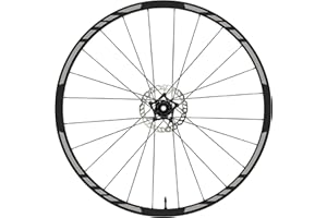 DualColorStampe Adesivi Cerchi Bici MTB 26'' - 27,5'' - 28-29'' Pollici Ruota Bici MTB Bike Stickers Cerchi MTB COD. B0097 (28-29'' Pollici, Grigio 74)