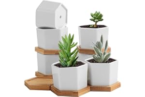 TsunNee Ceramiczne doniczki, sześciokątne białe doniczki na sukulenty, ceramiczne doniczki, mini dekoracyjne doniczki bonsai, do domu, ogrodu, biura, dekoracja, biurko, parapet, prezent, 7 cm