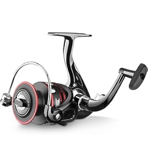 Jaxon Sbirulino Potu00e1pivu00e9 | Chyu0165 A Pusu0165