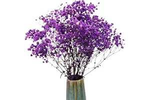TooGet Ramas de Gypsophila de Flores Secas Naturales para Decoración de Hogar, Boda, Decoración de Mesa, Corona Floral DIY, Flores Secas a Granel para Jarrón (púrpura)