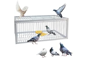 LIROPAU Gabbia per uccelli, piccioni con 4 lati ingresso usa e getta e 1 lucernario per piccioni, pappagalli, parrocchetti e altri uccelli, colore: bianco