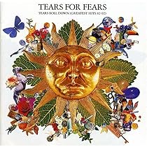 廃盤中古DVD●Tears Roll Down Greatest Hits 71rSyyYJvOL._AC_UL210_SR210,