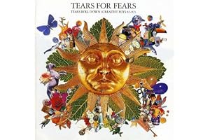 Tears Roll Down: (GREATEST HITS 82-92)