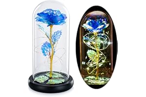 Glasseam La Bella Y La Bestia Se Levantó En Una Cúpula De Cristal con Luces LED Blancas Cálidas Flores De Cristal Eternas Regalo De Cumpleaños Encantada para Ella para El Aniversario
