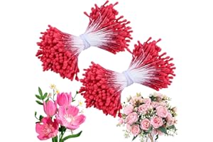 Niuny Étamine de Fleur 800pcs Pistil Fleur Loisir Creatif Étamines De Fleurs Artificielles 2mm Perle Mate Double Têtes Fleur Étamine Pistil Fleur Accessoires de Bouquet Pour Bricolage (Rouge)
