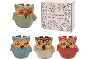 DONGZHI 4-Pack Scented Candles Gifts for Women, Owl & Penguin Christmas Candle Gift Set, Birthday Gifts for Women, Mother's Day, Wife & Best Friend (Art Deco)