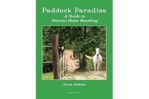 Paddock Paradise: A Guide to Natural Horse Boarding