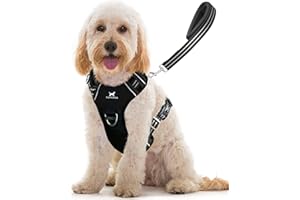 TUFFDOG Easy-Fit Dog Harness Medium - Fast Release Neck Clip, Premium Padded Reflective No Pull Harness with Control Handle, Adjustable Step-in Dog Vest Plus Free Matching Lead (M, Raven Black)