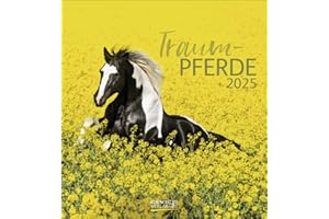 Traumpferde 2025: aufstellbarer Postkartenkalender