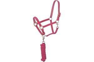 Tough 1 Licol rembourré en néoprène avec matériel Antique