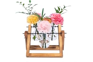 Eclare Plant Propagation Stations, Desktop Propagation Station with Wooden Stand and Glass Bulb Vase for Hydroponics Plants, Retro Plant Terrarium for Home&Office (3 Bulbs)