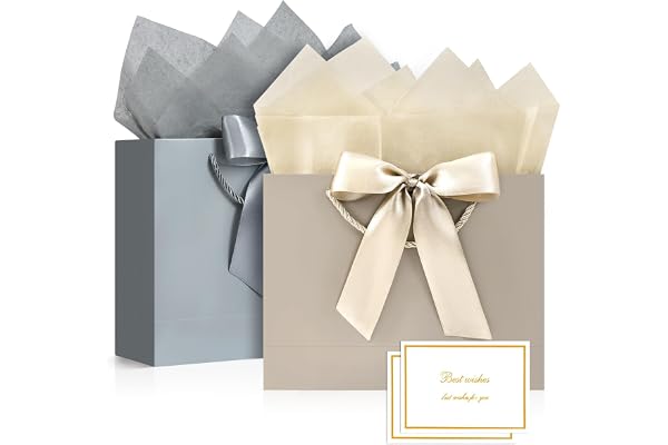 BBLIKE Sac Cadeau Papier - 2 Pochette Cadeau Anniversaire Moyen,Sachet Cadeaux Grand Format 2 Cartes 4 Mouchoirs,Gift Bag Elégantes pour Femme Fille Saint-Valentin Fêtes Noël Mariage(Argent Champagne)