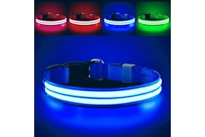 PcEoTllar Collier Lumineux Chien, Clignotant Collier LED Chien Rechargeable 3 Modes D'éclairage, Etanche Collier Chien Fluorescent Réglable pour Petits Moyens Grands Chiens, Bleu-M