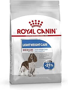 cocker spaniel grooming kit