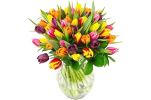 Clare Florist Mixed Tulips Fresh Flower Bouquet - Charming Display of Tulips, Suitable for All Occasions
