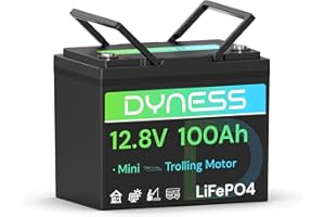 Dyness Batterie Lithium 12V 100Ah LiFePO4 Mini avec Protection 100A BMS Basse température et Max 15000 Cycles, pour Camping Car, kit Panneau Solaire, Caravane, Bateau, Marine
