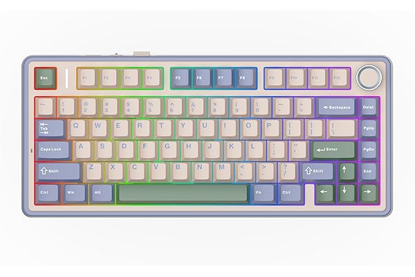EPOMAKER x Aula F75 Clavier Mécanique Gasket à 75%, sans Fil/BT/USB-C, avec Cinq Couches de Coussinets, Bouton, RVB, Batterie, NKRO,QWERTY (Green, LEOBOG Reaper Switch)