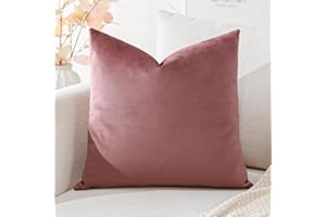 Artscope Housse de Coussin en Velours Décoratif Canapé Taie d'oreiller Super Doux Decoration Maison Salon Chambre pour Canapé 60x60cm Confiture