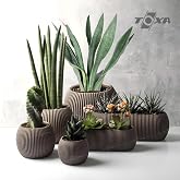 Mercan Saksı Set Dekoratif Drenajlı &Ccedil;izgili Mat (6 Par&ccedil;a, Kahve)