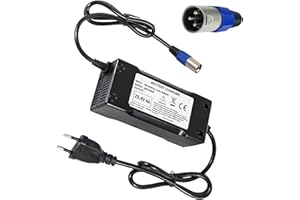 YZPOWER Cargador De Batería De Iones De Litio De 24V, Salida De Cargador De Batería De 29,4V 4A, Conector XLR Compatible con una Variedad de Scooters eléctricos, sillas de Ruedas eléctricas.
