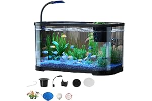 DUVCOYWAE 11L Small Fish Tank With Filter And LED Light - 30x20x19cm Desktop Decoration Small Fish Tank Starter Kits, Silent Betta FishTank, Rectangular Aquariumes Tropical, For Living Room Offices Decor