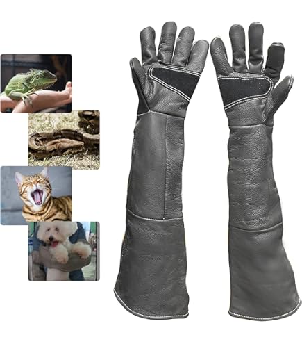 starlingukpk Kwaliteit vier lagen echt zacht sterk nubuck leer 4 laags valkerij handschoenen/vogel handling handschoenen/huisdier handschoenen. (Medium