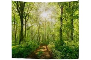 A.Monamour Rayons De Soleil Lumineux À Travers des Arbres De Hêtre Forêt Sentier Route Nature Paysage Image Tissu Tenture Murale Tapisserie Art Mural Décors Tissu De Tissu Couvre-Lit Drap De Lit