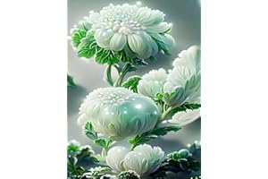 SMYJDMM Diamond Painting, Diamant Painting Set, Diamond Painting Bilder für Erwachsene 5D DIY Diamant Kunst Handwerk Home Wand Décor 30x40cm (Weiss)