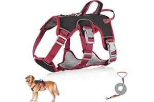 Grantop Uprząż dla psa, średnia, czarna, odporna na ucieczkę, zapobiegająca ciągnięciu, zestaw uprzęży dla zwierząt z smyczą, codzienne spacery, bieganie, wędrówki, trening, wycieczki, polowanie,