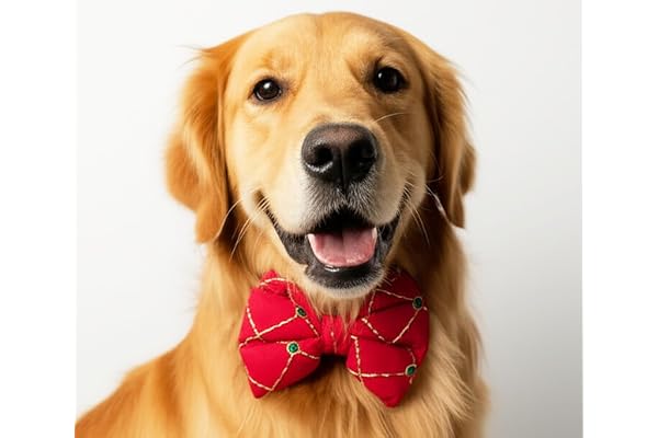 For The Fur Kids Traditional Dog Bow Tie with Embroidery Jaal: Pet Bow for Navratri, Diwali and Weddings
