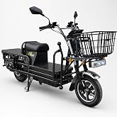 EOX® E5 Plus Low Speed Electric Loader Scooter Non RTO, 400Kg Weight Capacity, Black with Portable Lithium Battery & Charger