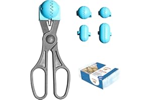 La Croquetera Multiusos Color Turquesa-4 moldes Intercambiables para masas + Pack conservación-100% español : Patentado y Fabricado en España, 1 utensilio + 20 bandejas