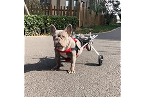 Cora Pet Wagen Hunderollstuhl Rollstuhl Dog Wheelchair für Hunde Katze Hase, Hinterbein/Hintere Füße, Rollwagen Gehhilfe Hundegehilfe Hunderollwagen, Haustier von 2~44 lb