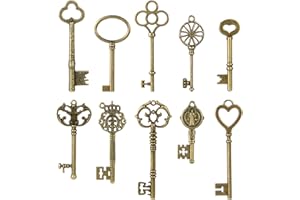 ZLKSKER Set di 10 chiavi in filigrana Steampunk, chiavi a scheletro vintage su entrambi i lati, ciondoli in bronzo antico
