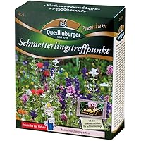 Schmetterlingstreffpunkt NEU
