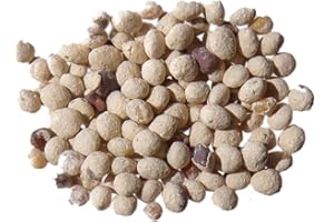 LA LETTRE S SHOP Micro-Trèfle Pipolina Enrobé (crème) - 40 Grammes - Trifolium Repens - Micro-Clover - ( Engrais Vert - Green Manure ) - SEM05