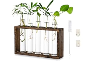 GLASSEAM Szklana stojak do rozmnażania roślin, 5 probówek, sadzonki, nowoczesna probówka, wazon na kwiaty w drewnie, stojak na sadzonki, terrarium stołowe do sadzonek roślin hydroponicznych, dekoracja wnętrz, prezent dla miłośnika roślin