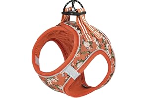 HEELE Dog Harness Small Dog Puppies Step-in Soft Mesh Anti-Escape, Reflective Loop Harness Lightweight Comfortable for Training Walking Running, Orange Flower, S