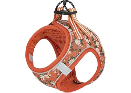 HEELE Sele Hund Liten Mjuk Hundsele Air Mesh Justerbar Säker Kontroll Valp Sele Väst Hundbröstsele f - Amazon Deal & Rabatt