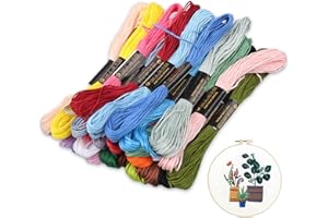 ANDSHUAI 24 Colori Filo Da Ricamo Kit,8 m,Matassine Punto Croce,Punto Croce,Amicizia Braccialetti,per DIY Ricamo, Treccia, Uncinetto, Cucito,per Adulti,Bambini e Principianti