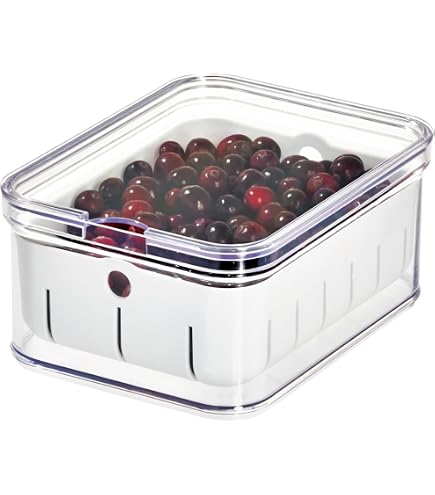 IDesign Kühlschrank Organizer – Durchsichtige Aufbewahrungsbox Mit 2 Fächern, BPA-frei, Mit Tragegriff, Für Kühl- & Gefrierschrank