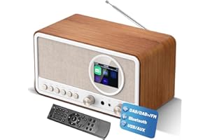 BIAOQINBO DAB Plus Radio mit Bluetooth,DAB+ / FM Radio mit Fernbedienung und Netzbetrieb,Digitalradio Küchenradio Radiowecker mit Zweifacher Alarm,USB/AUX Hafen,Sleep-Timer, 30 voreingestellte Sender