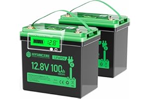‎HYSINCERE HYSINCERE 12V 100Ah LiFePO4 MINI Lithium Batterie mit LED 2 Pack, 100A Intelligente BMS & Max.15000 Zyklen, 12 Volt Deep Cycle Akku 1280Wh Wiederaufladbare für Wohnmobil, Camping, Solar Home Systeme