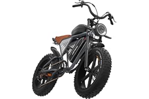 JANSNO Bicicleta Eléctrica 20" x 4.0 Fat Tire, Homologada CE,batería extraíble de 48V 17Ah/34Ah,Sistema de 7 velocidades, Bicicleta eléctrica para Adultos