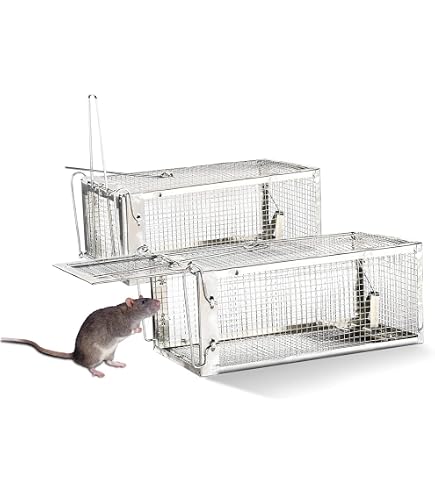2 Stück XXL Lebendfallen Für Ratten & Mäuse – Tierfreundlich, Aus Metall, Wiederverwendbar Für Innen & Außen