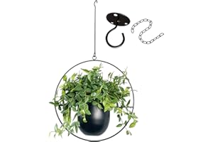VDYXEW Hängende Pflanzgefäße für Innen- und Außenpflanzen mit Haken aus Metall, moderner Wand- und Deckenpflanzer, minimalistischer Blumentopf, Hänger für Heimdekoration, schwarz (1 Stück)